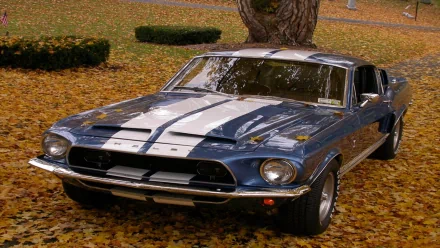 HD desktop wallpaper: classic blue Ford muscle car with white racing stripes parked on a carpet of autumn leaves beneath a large tree.