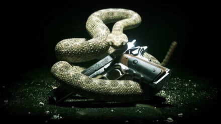 HD desktop wallpaper from the video game Hitman: Absolution, featuring a coiled snake draped over a handgun with a dark, moody background.