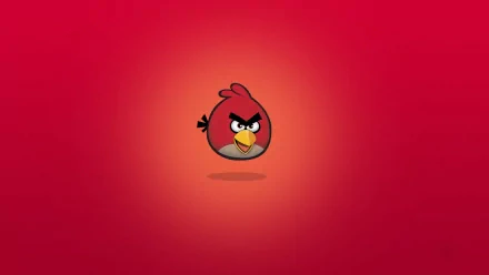 HD desktop wallpaper featuring the red bird character from the Angry Birds video game on a gradient red background.