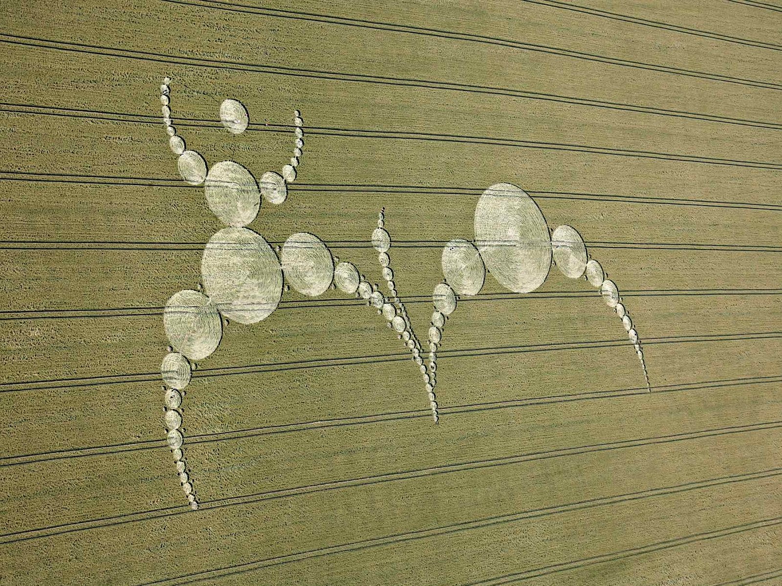 Download Man Made Crop Circle Wallpaper