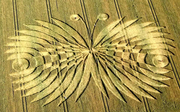 man made crop circle HD Desktop Wallpaper | Background Image