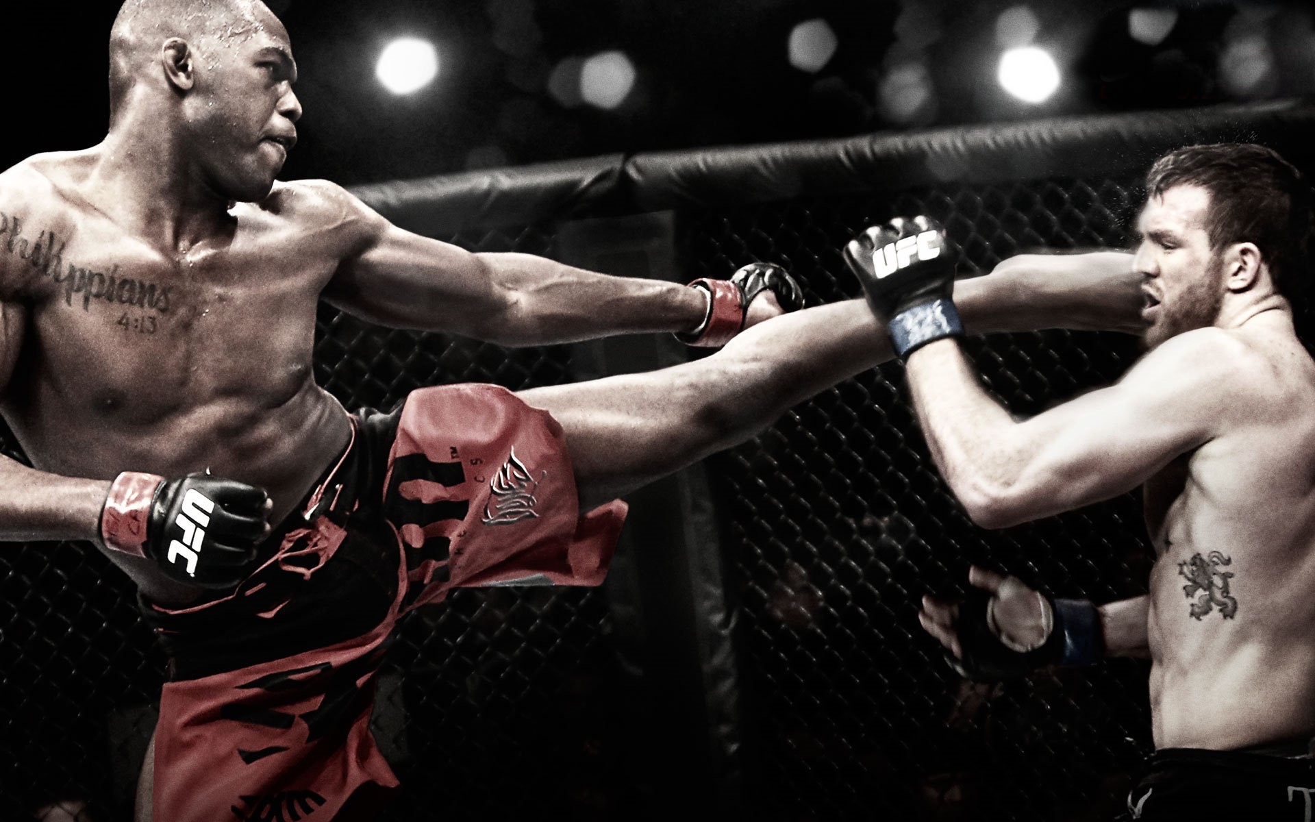 Sports Mixed Martial Arts HD Wallpaper | Background Image