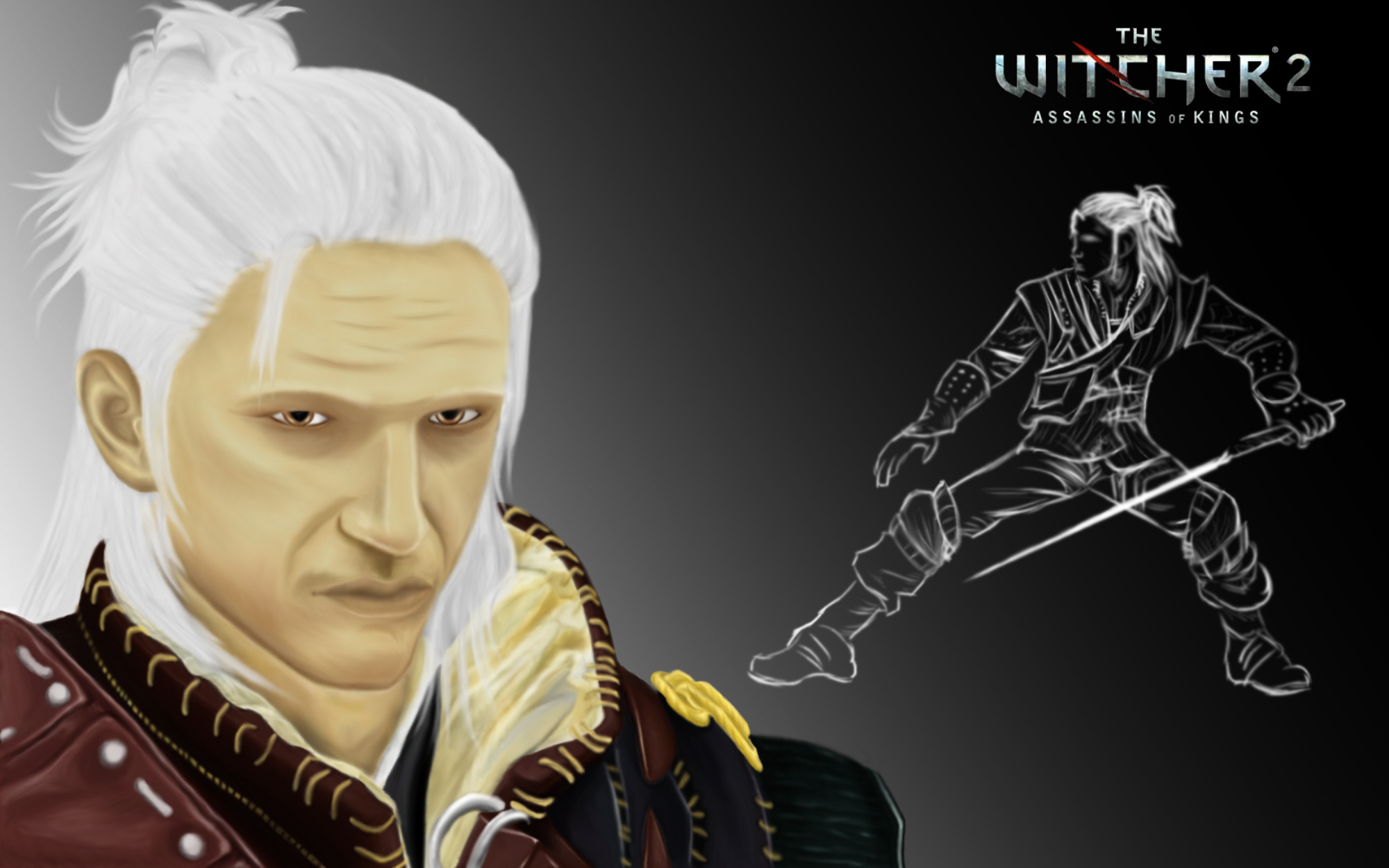 Video Game The Witcher 2: Assassins Of Kings HD Wallpaper | Background Image