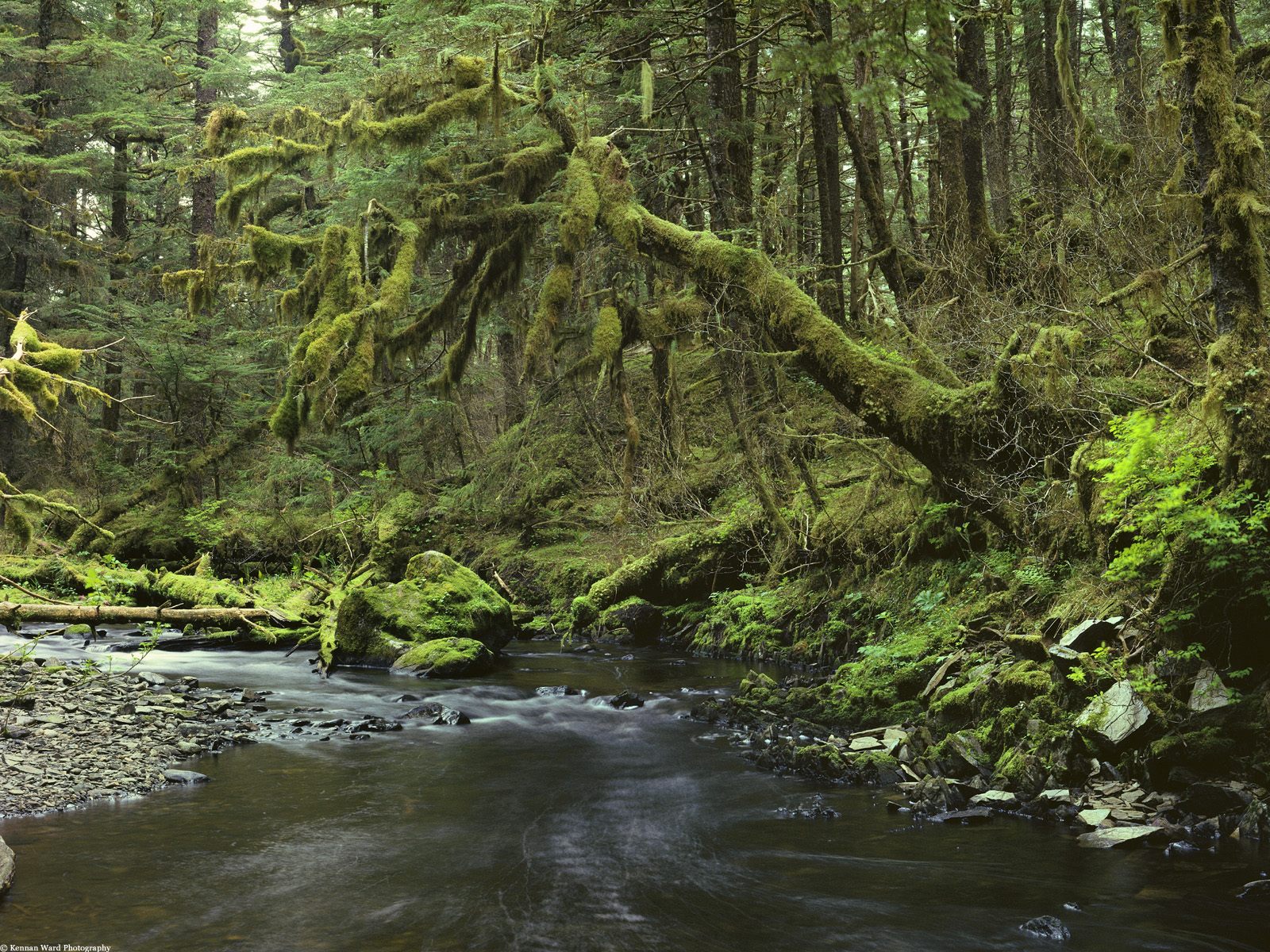 Download Nature River Wallpaper
