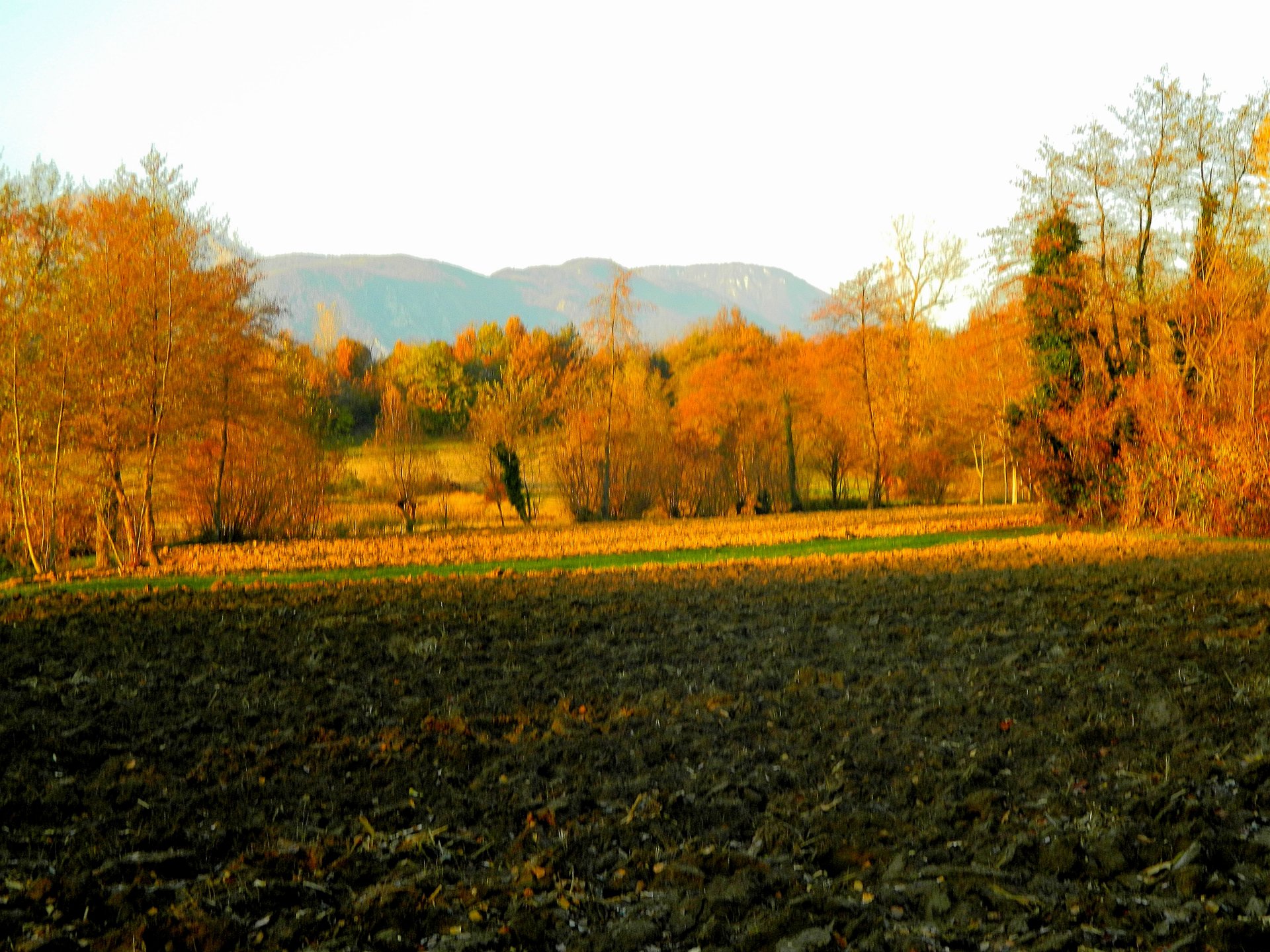 Campagna friulana by mikevero