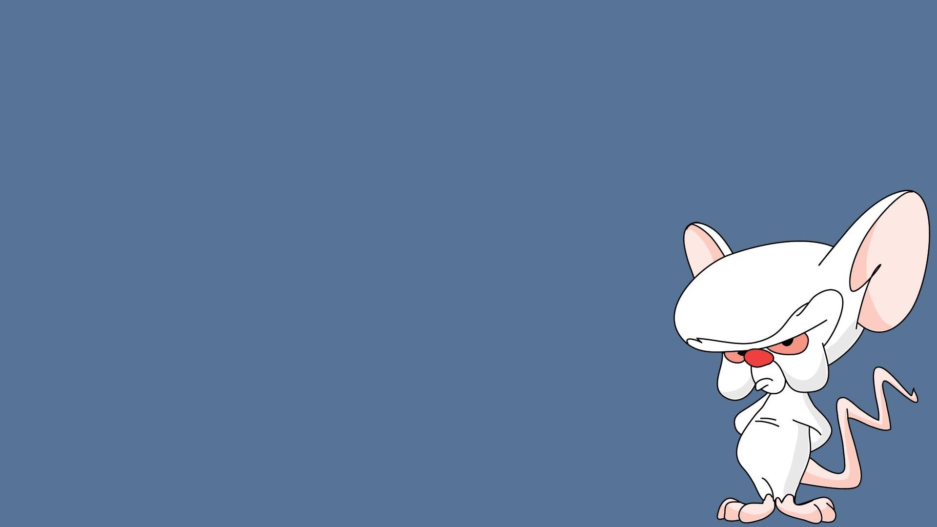 Pinky And The Brain Full HD Wallpaper and Background Image | 1920x1080