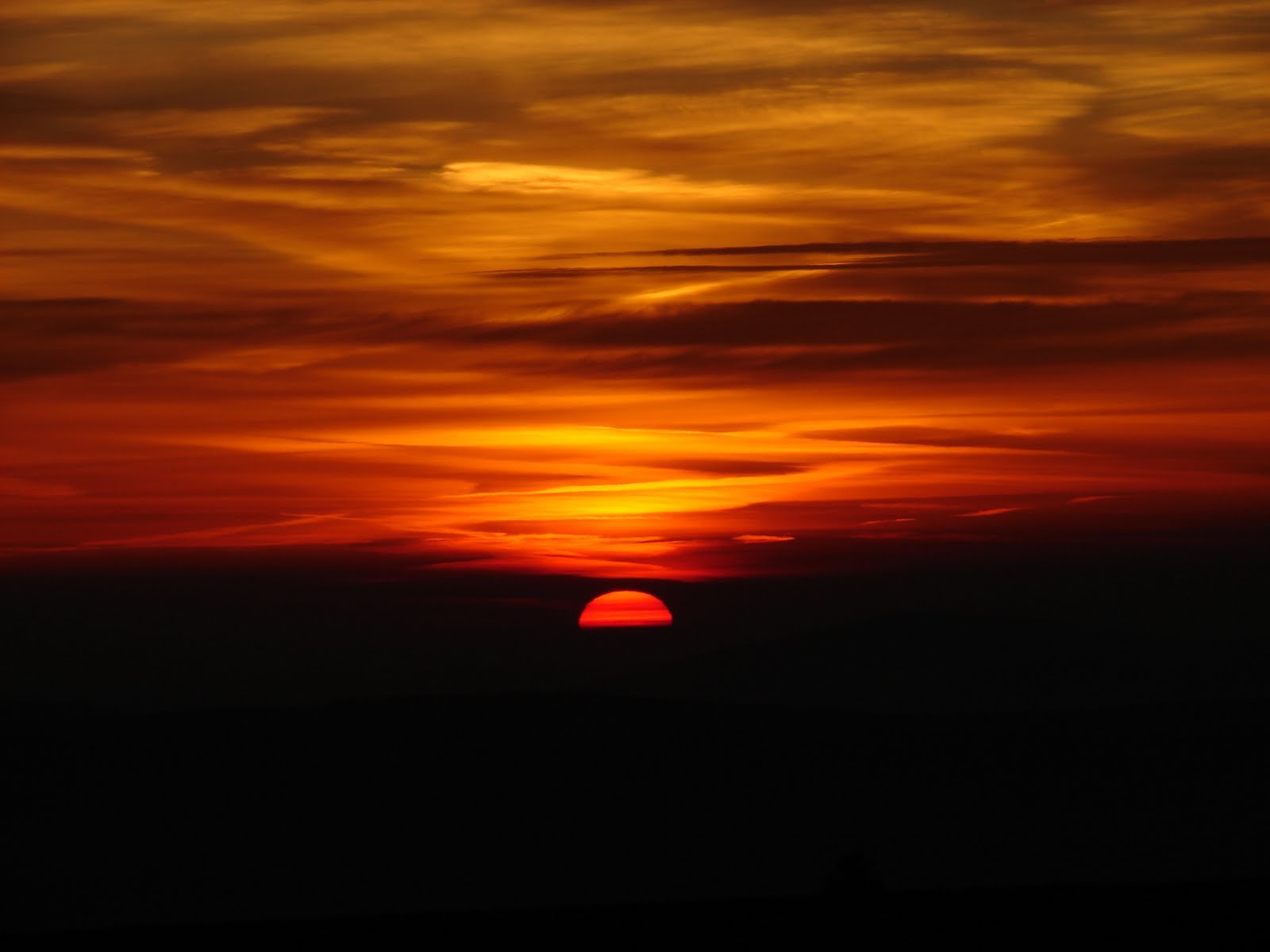 Download Nature Sunset Wallpaper | 1600x1200 | Wallpaper Abyss