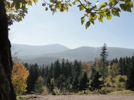 A serene 4K Ultra HD landscape of Karpacz forest in Poland showing layered mountain ranges under a clear sky framed by autumn leaves.