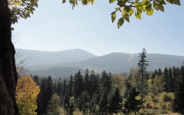 A serene 4K Ultra HD landscape of Karpacz forest in Poland showing layered mountain ranges under a clear sky framed by autumn leaves.