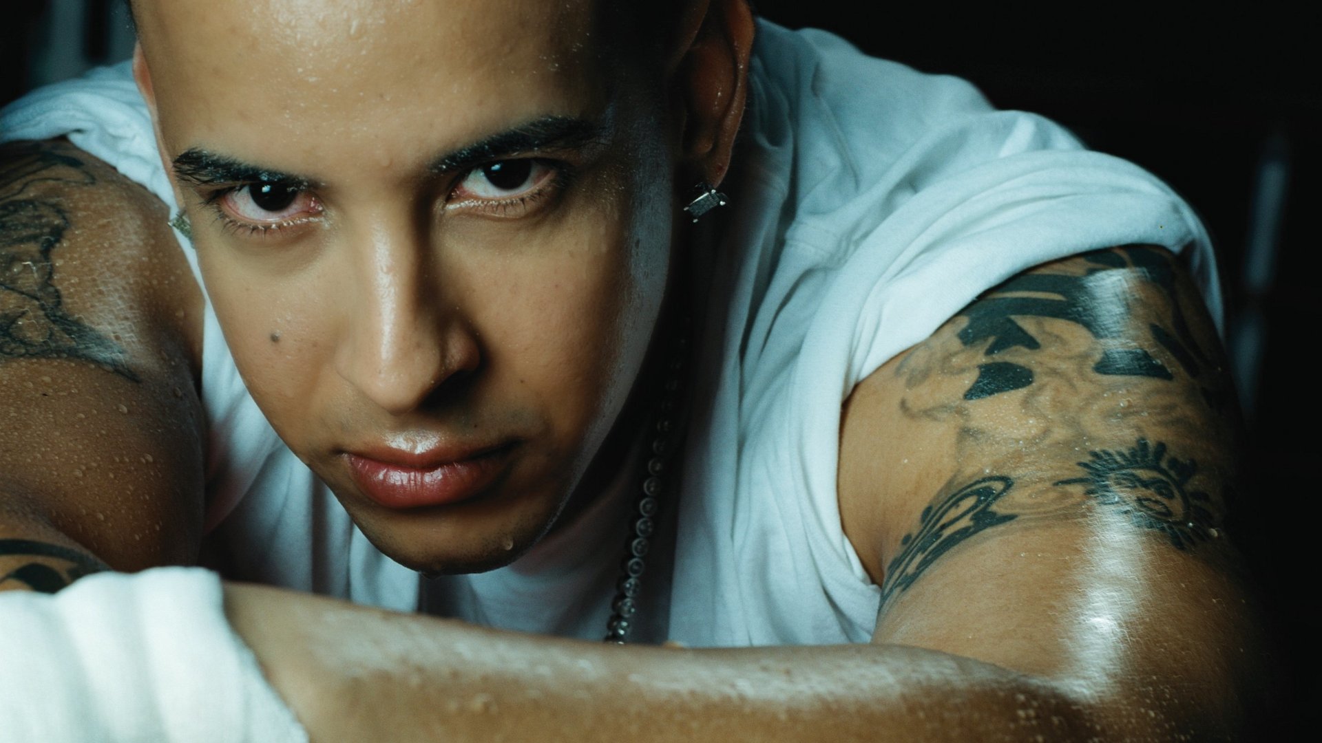 Daddy Yankee artist artista daddy music music reggaeton yankee HD  phone wallpaper  Peakpx