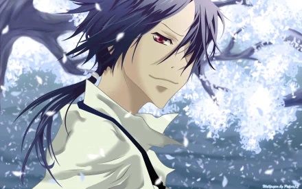Mukuro Rokudo Anime Katekyō Hitman Reborn! HD Desktop Wallpaper | Background Image