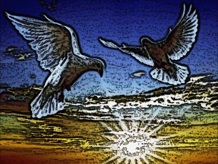  Holy Doves