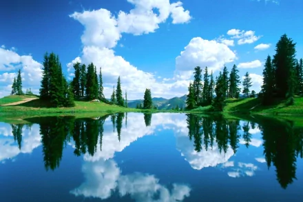 HD PC desktop wallpaper featuring a serene nature scene with tall trees and clouds reflected perfectly in the calm, clear water.
