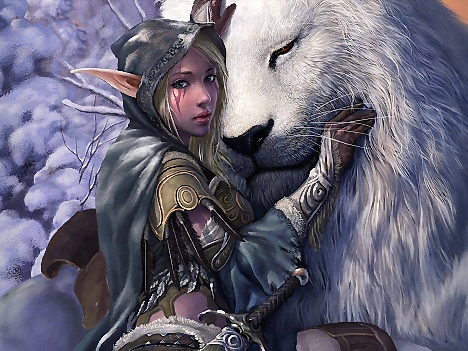 450+ Fantasy Elf HD Wallpapers and Backgrounds