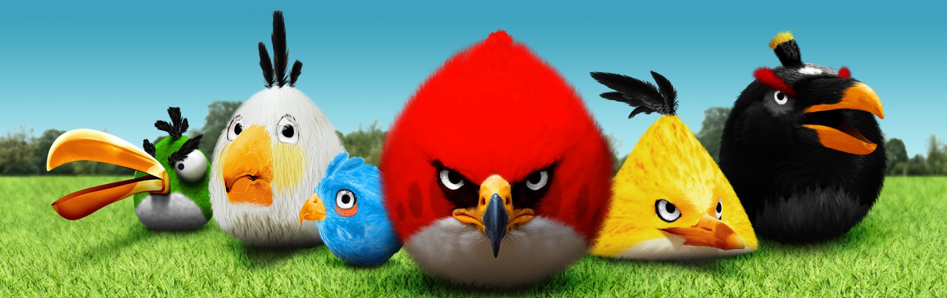 Angry birds фотография