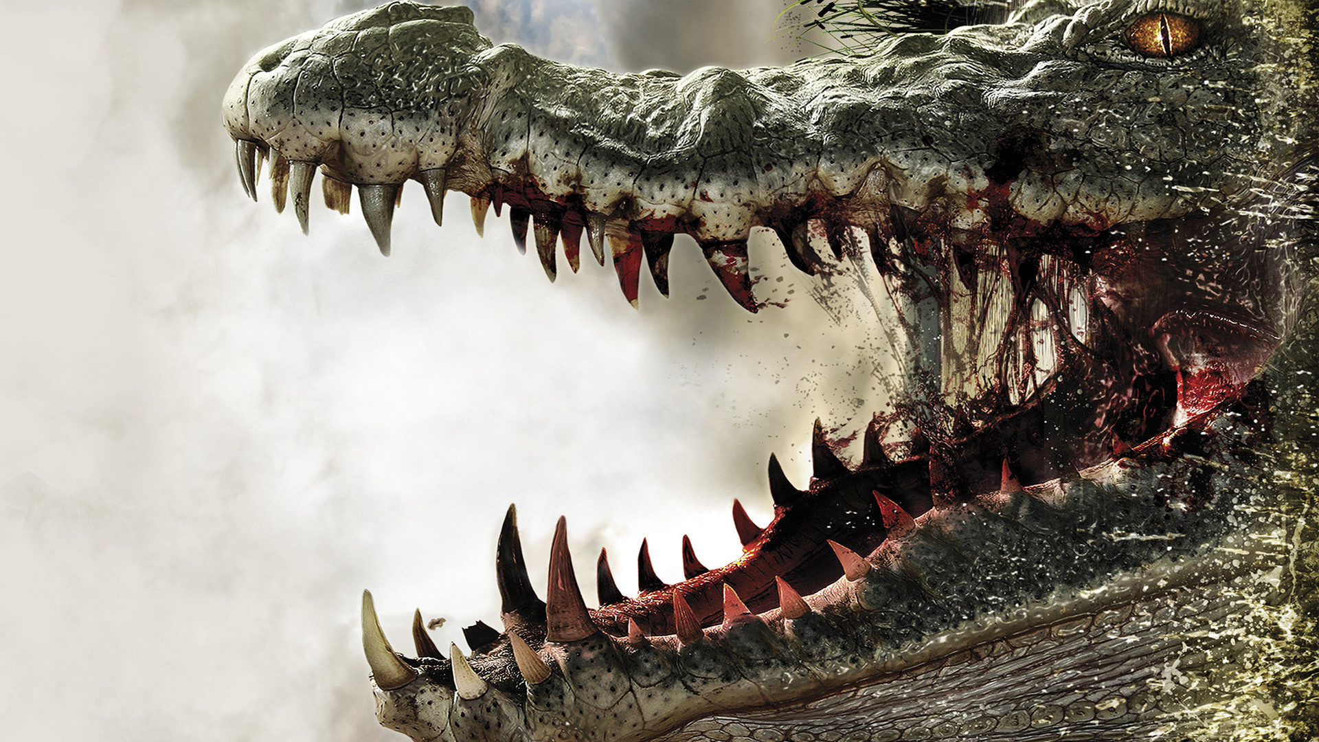 30 Alligator Hd Wallpapers Backgrounds Wallpaper Abyss