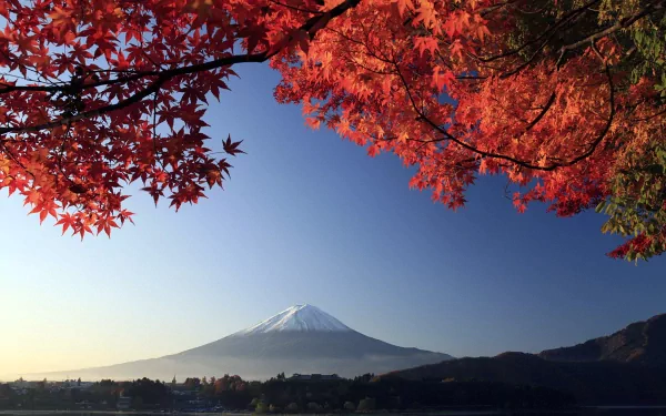A stunning view of Mount Fuji surrounded by vibrant fall foliage in Japan, showcasing the beauty of nature in a high-definition desktop wallpaper.