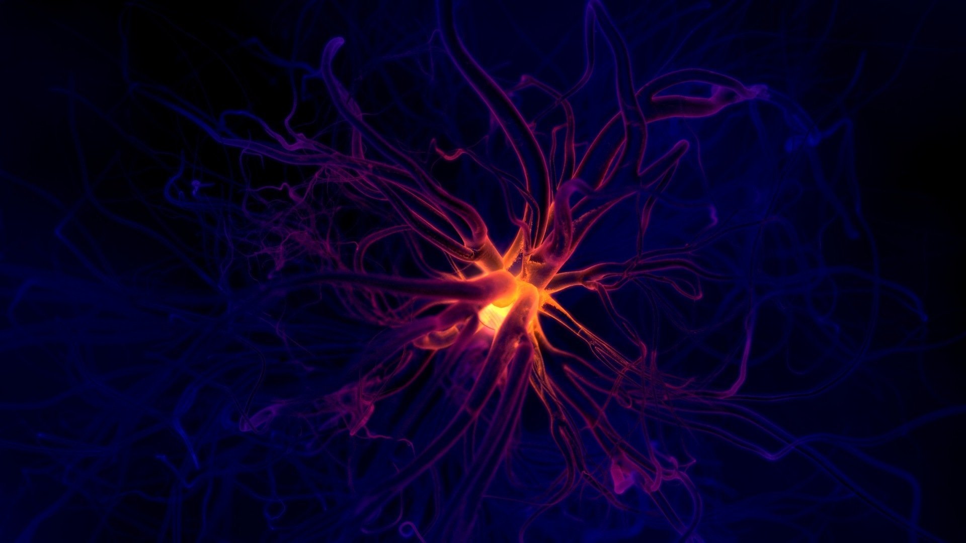 neuron iphone wallpaper