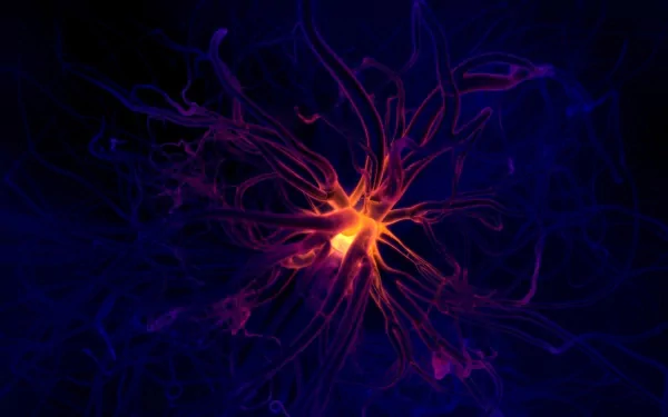 artistic Neuron HD Desktop Wallpaper | Background Image