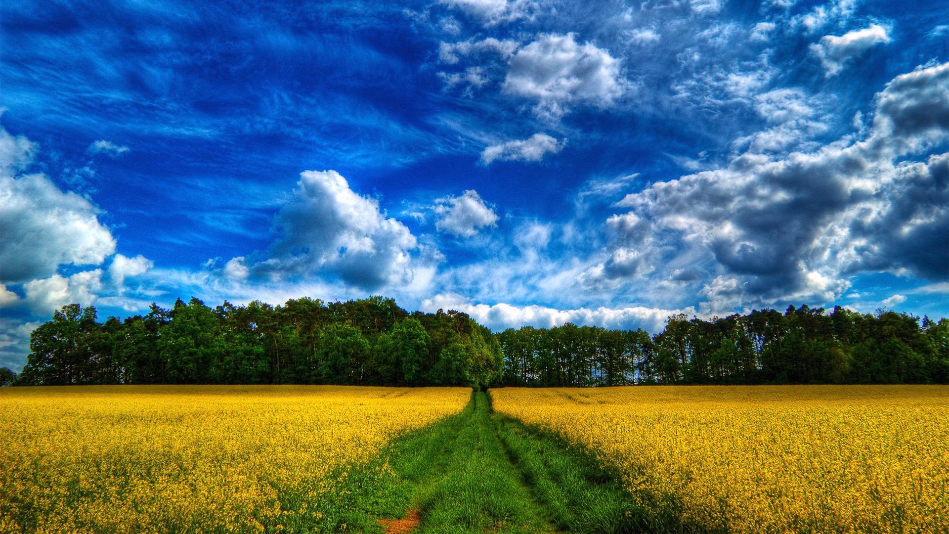 Download Nature Scenic HD Wallpaper