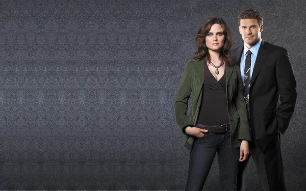 HD PC desktop wallpaper of two lead investigators from the TV show Bones standing against a textured gray background.