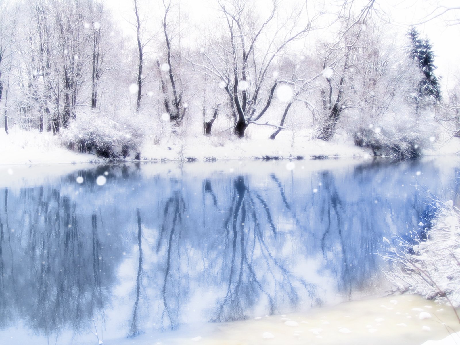 A serene winter scene showcasing a frozen lake surrounded by snow-covered trees, with reflections shimmering on the icy water, creating a tranquil nature backdrop.