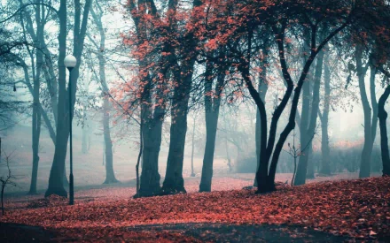 nature scenic HD Desktop Wallpaper | Background Image