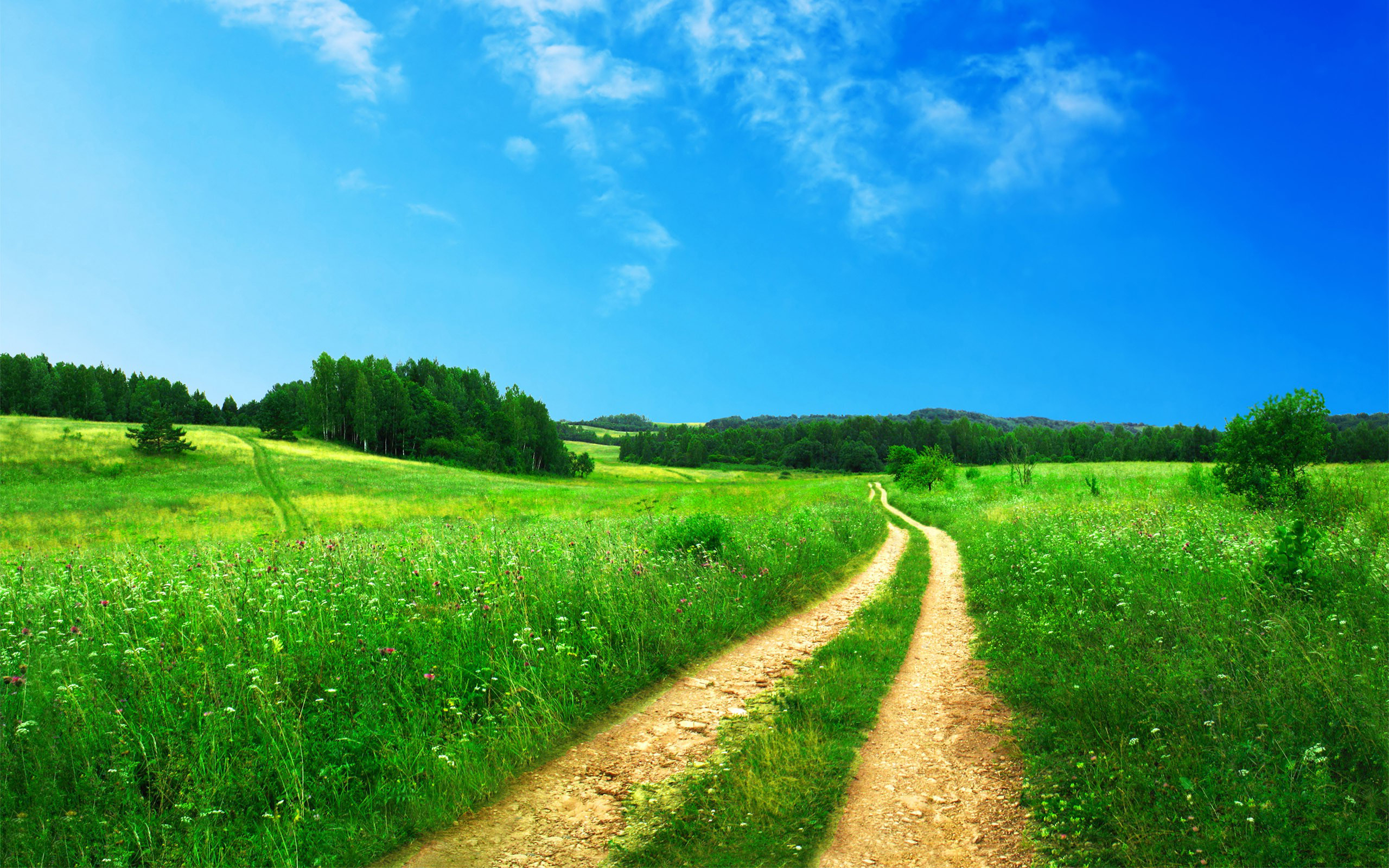 Earth Path HD Wallpaper | Background Image