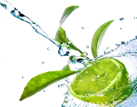 food lemon HD Desktop Wallpaper | Background Image