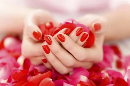 Photography: close-up of manicured hands with glossy red nails cradling a red heart amid pink and red rose petals — HD PC desktop wallpaper and background.