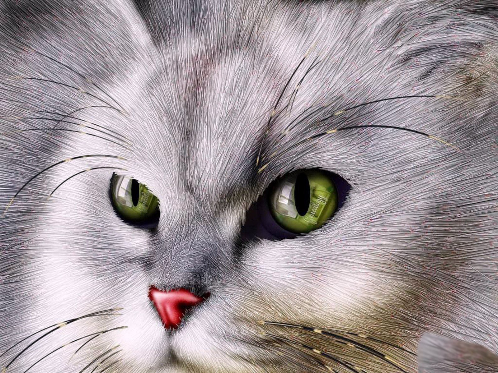 Animal Artistic Wallpaper