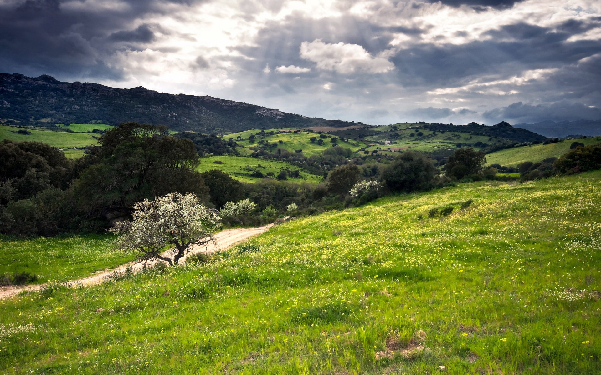 Download Nature Landscape HD Wallpaper