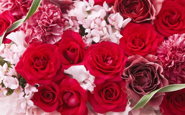 HD PC desktop wallpaper: close-up bouquet of red roses and pink carnations, soft white blossoms and green leaves forming a vibrant nature flower background.