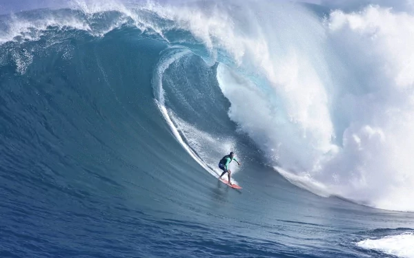 HD PC desktop wallpaper showcasing a surfer skillfully riding a massive ocean wave, capturing the thrill of surfing and dynamic sports action.