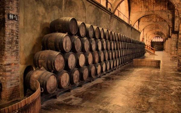 A serene HD wallpaper showcasing a rustic wine cellar with neatly stacked wooden barrels against brick walls, highlighting the craftsmanship of man-made structures in a historical place.