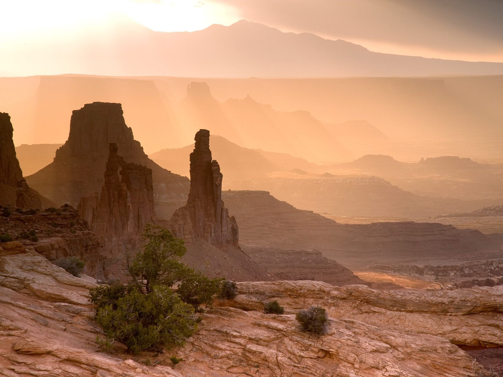 HD desktop wallpaper of a serene desert landscape with striking rock formations, bathed in warm sunlight, and distant mesas fading into the hazy horizon. A touch of greenery adds contrast to the scene.