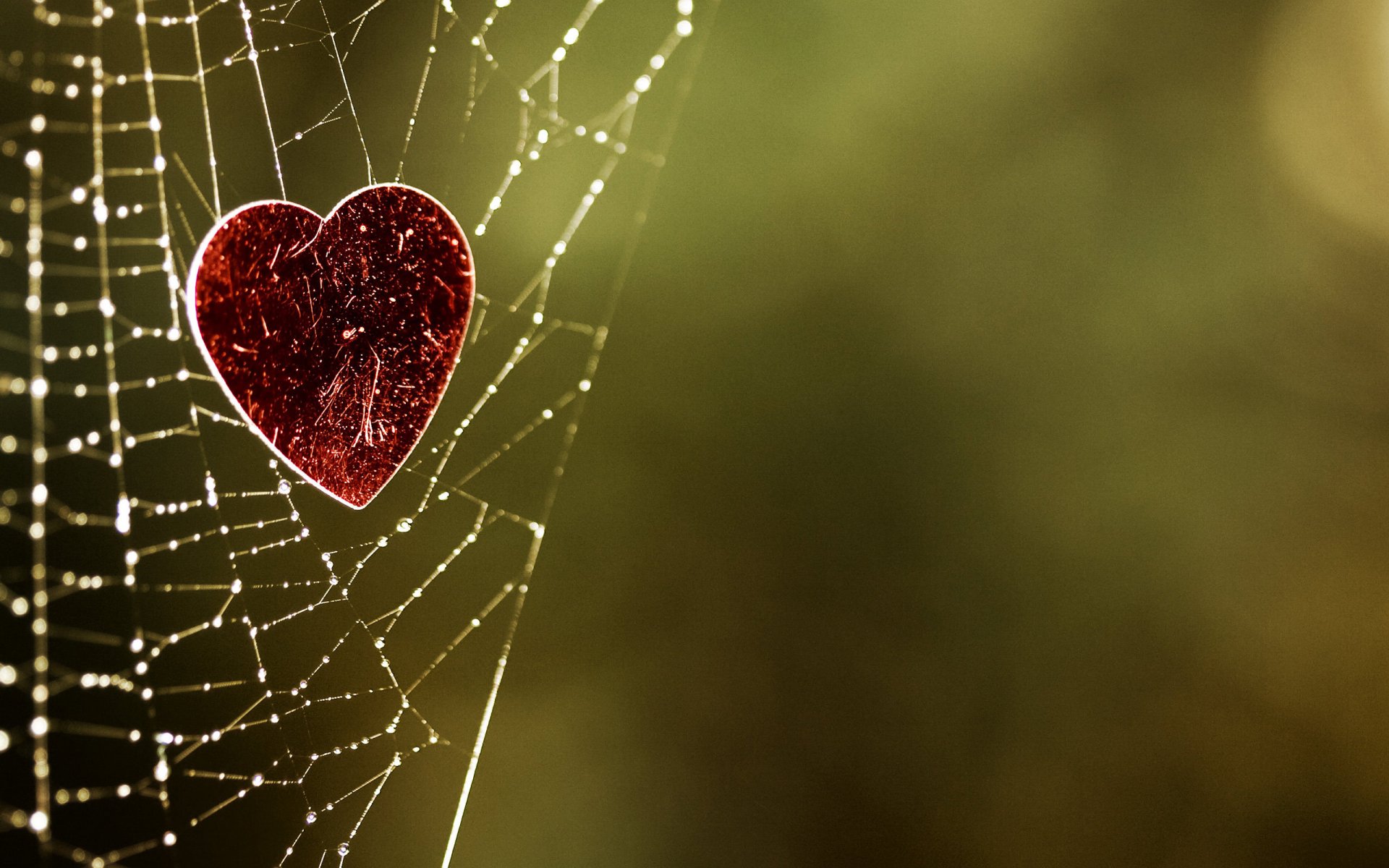 A close-up of a red heart nestled in a spider's web, surrounded by a soft, blurred background, creating an artistic and romantic atmosphere. An HD desktop wallpaper that captures love.