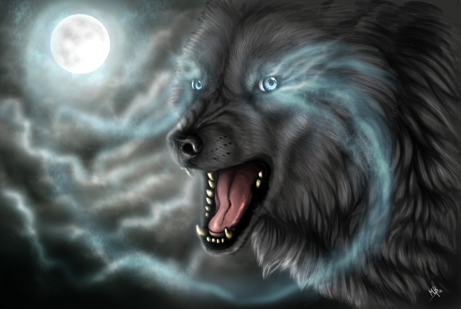 Download Wolf Dark Animal  HD Wallpaper