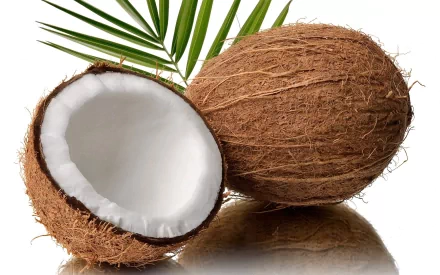 A vibrant HD desktop wallpaper featuring whole and halved coconuts, complemented by a green palm leaf, showcasing the natural beauty of this tropical food.