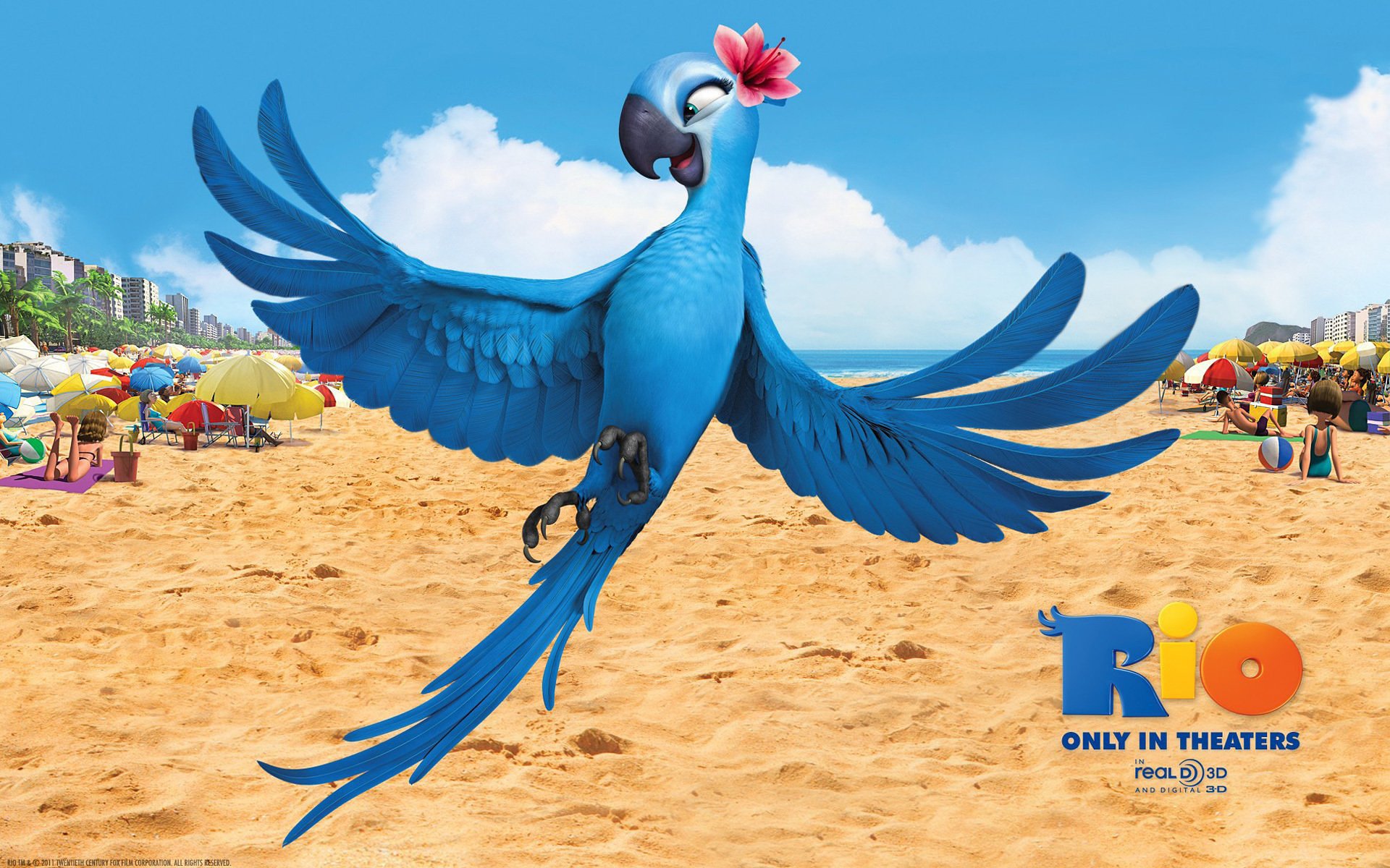 Download Jewel Rio Movie Rio HD Wallpaper