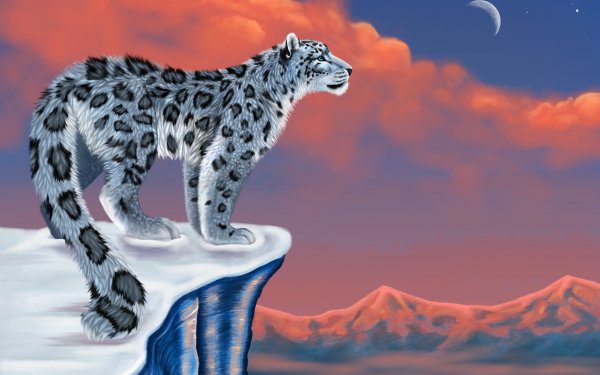 Animal Artistic Snow Leopard HD Wallpaper | Background Image