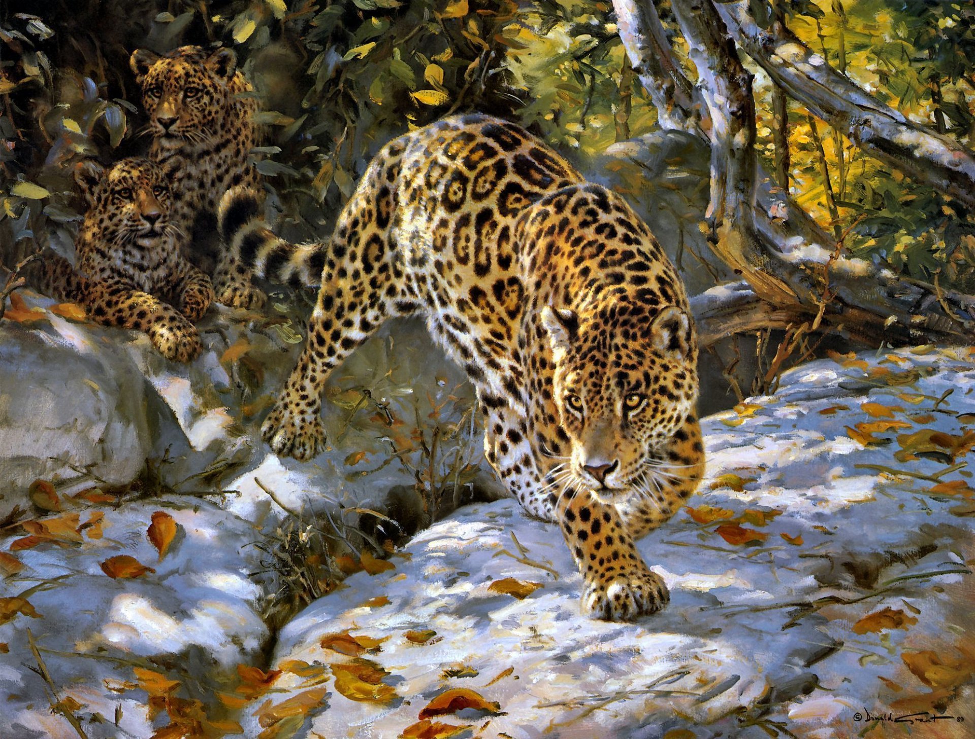 A striking HD wallpaper featuring a majestic leopard walking through a vibrant forest scene, complemented by a hidden cub in the background, showcasing artistic wildlife.