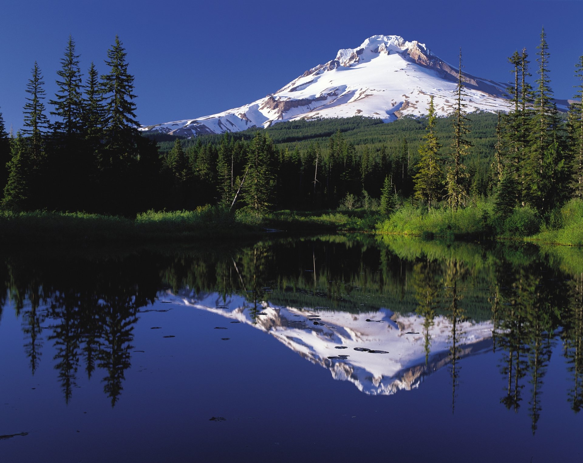 HD desktop wallpaper of a snow-capped mountain reflected in a calm lake, surrounded by lush green forest under a clear blue sky.
