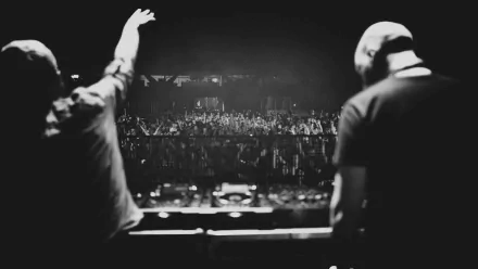 A dynamic black and white image of two DJs performing energetically before an enthusiastic crowd, capturing the vibrant atmosphere of a live music event. HD desktop wallpaper.