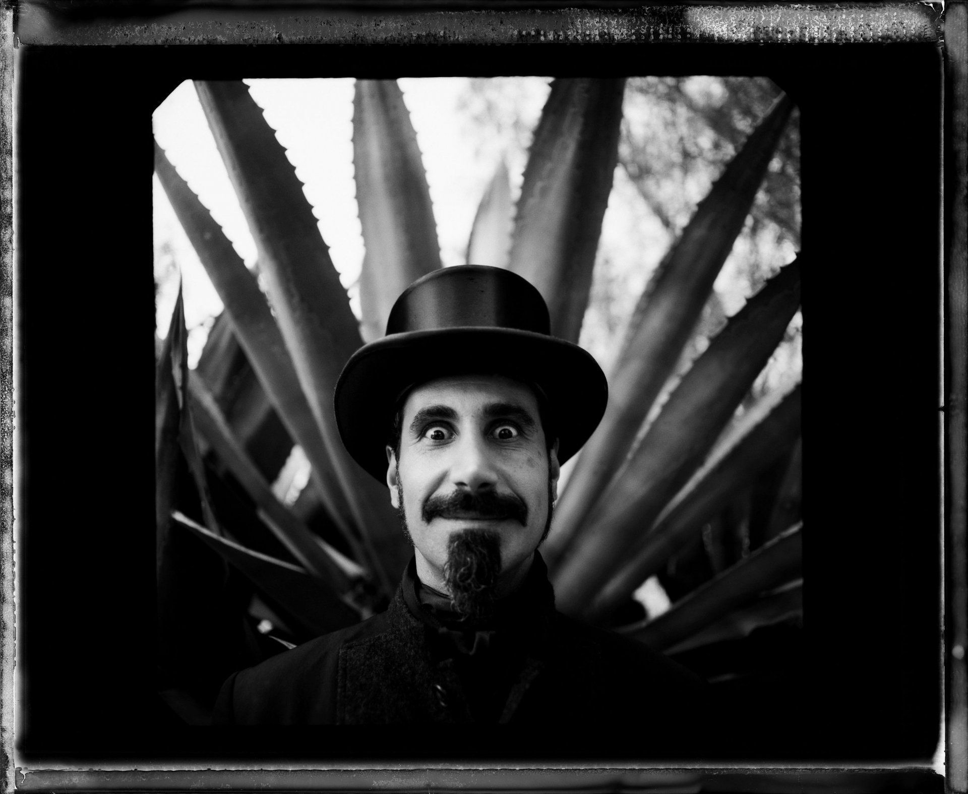 Black and white HD PC desktop wallpaper of a man with a top hat, smiling in front of large agave leaves creating a striking background.