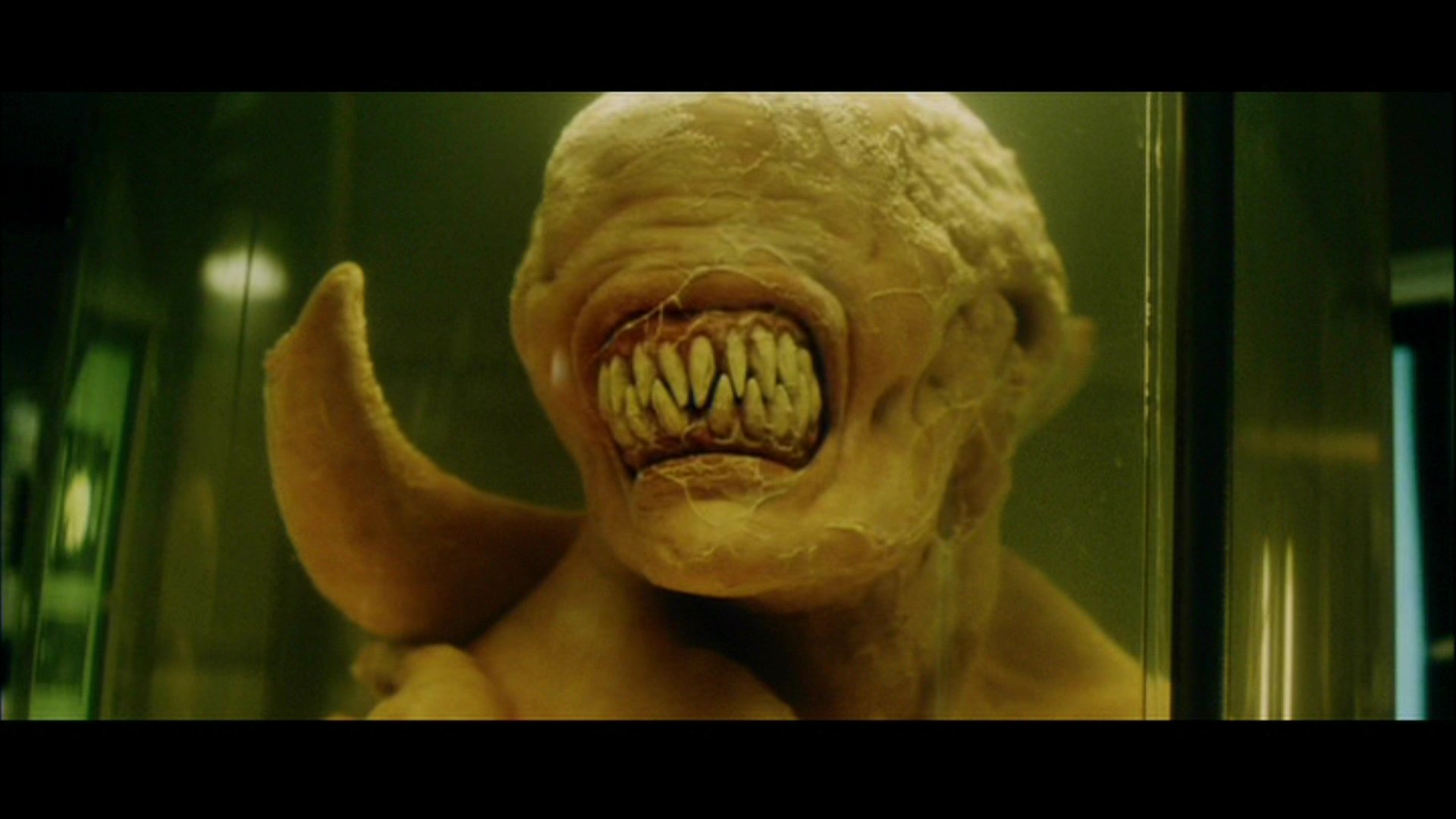 Download Alien Movie Alien: Resurrection HD Wallpaper