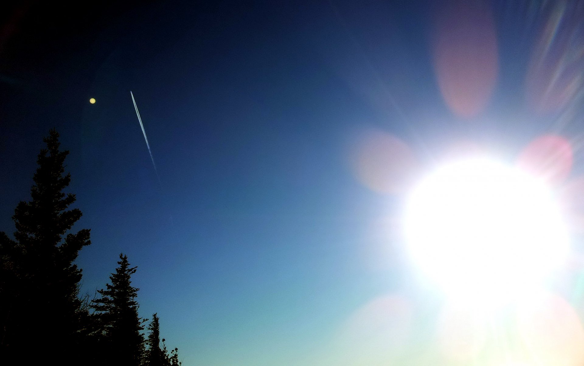 Fly by Venus by FloydMan38