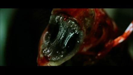 alien movie Alien: Resurrection HD Desktop Wallpaper | Background Image