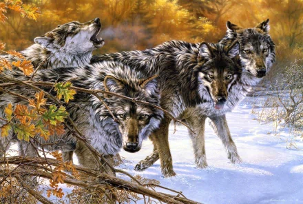 Four wolves in a snowy forest with autumnal foliage. This HD image serves as a striking desktop wallpaper and background.
