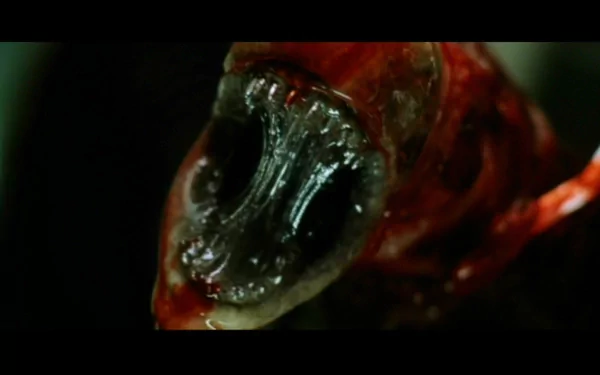 alien movie Alien: Resurrection HD Desktop Wallpaper | Background Image